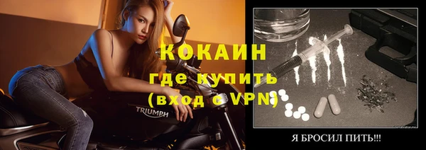 mdpv Каменногорск