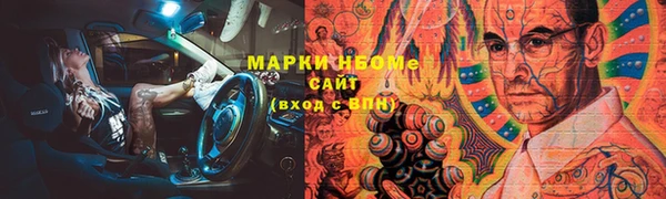 mdpv Каменногорск