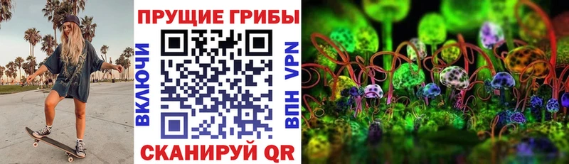 Купить где Иланский Галлюциногенные грибы ЛСД